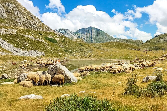 1-Day Montenegro Hiking Tour to Durmitor National Park - The Durmitor hike, 4 kilometers with real footing concerns