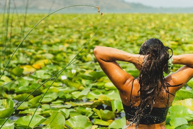 1-hour Kayak Adventure through Skadar Lake from Virpazar - Key points before you book