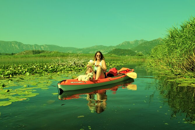 1-hour Kayak Adventure through Skadar Lake from Virpazar - How this compares with a boat-based visit