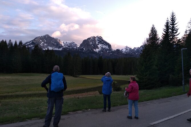 8-Day Tour Montenegro Durmitor Mountain and Adriatic Coast - Day 4: Tara Canyon, Ostrog Monastery, and Perast