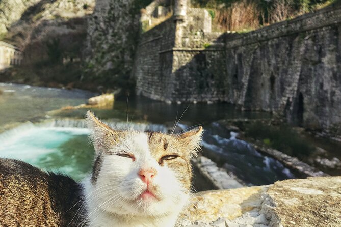 Authentic Kotor Old Town Walking Tour - Walking through the medieval Old Town