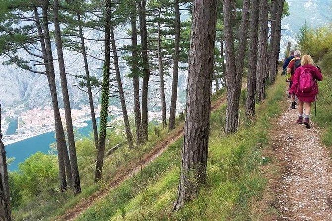 Bay of Kotor hiking experience - Montenegro Travel Club private tour - Why this Kotor hike is different from a quick viewpoint stop