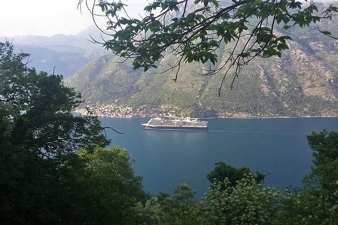 Bay of Kotor hiking experience - Montenegro Travel Club private tour - What the private format adds