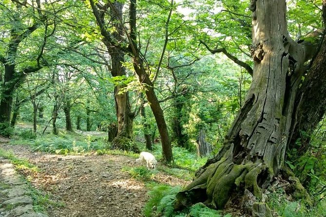 Bike & hike tour - The Optional Church Walk and Extra Views