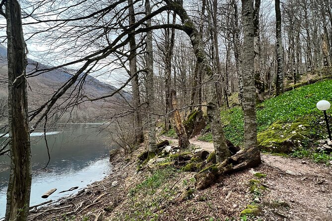 Biogradska Gora National Park Tour with Optional Add-Ons - Moraca Monastery, a quiet cultural pause