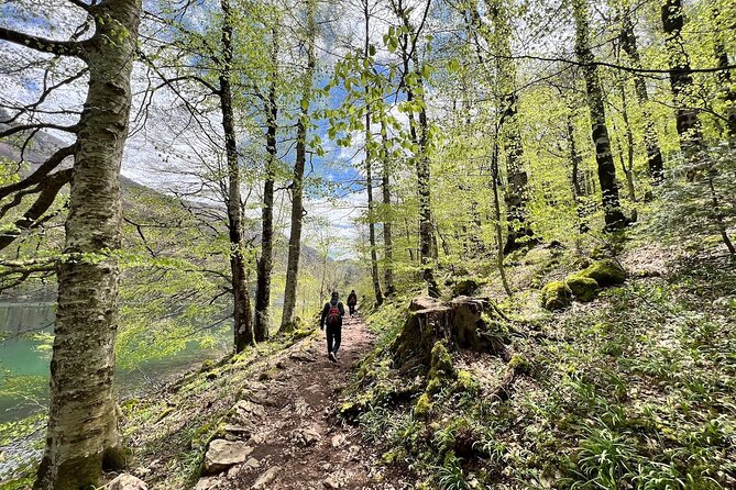 Biogradska Gora National Park Tour with Optional Add-Ons - How the guide affects the experience
