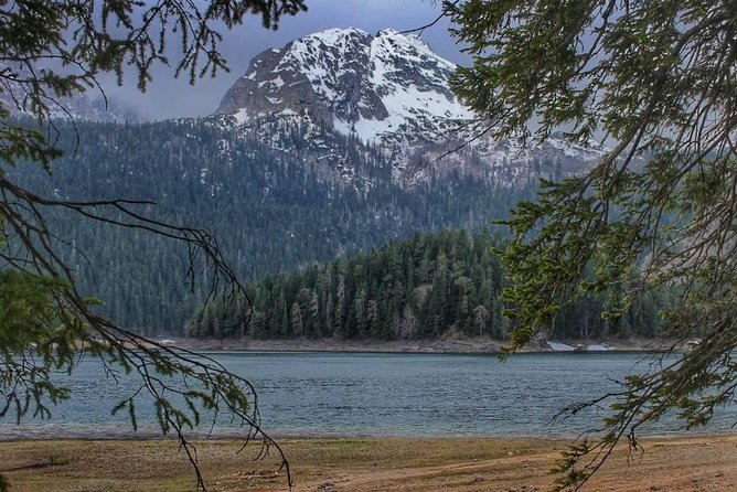 Black Lake and Djurdjevica Tara Bridge (Private tour) - Key points to know before booking