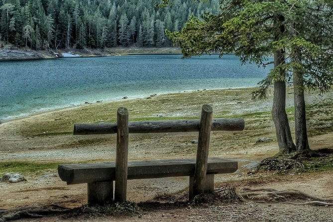 Black Lake and Djurdjevica Tara Bridge (Private tour) - Practical planning for the day