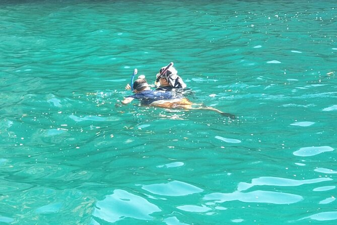 Blue Cave, Lady of Rocks , Perast and Mamula Speedboattour MW - Key points to know before booking