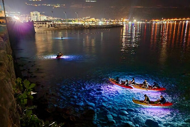 Budva: 2-Hour «Night Lights» Kayak Tour - Who will enjoy this Budva kayak tour most