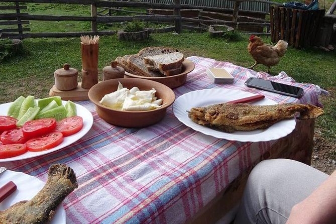 Cheese farm tour in the katun - Key points at a glance