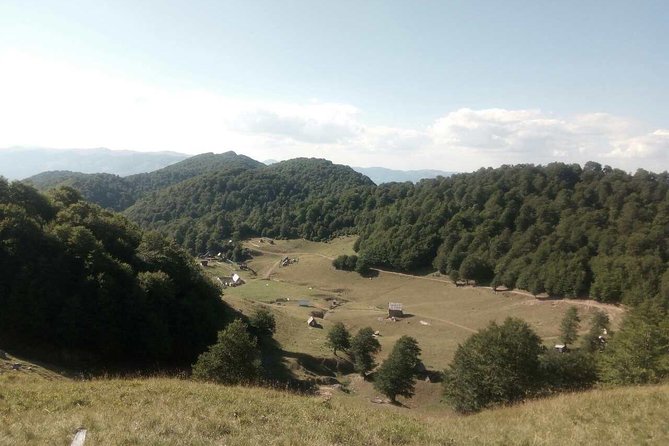 Cheese farm tour in the katun - Goles at 1,600 meters