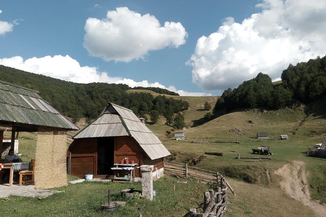 Cheese farm tour in the katun - Biogradska Gora without a crowded sightseeing circuit