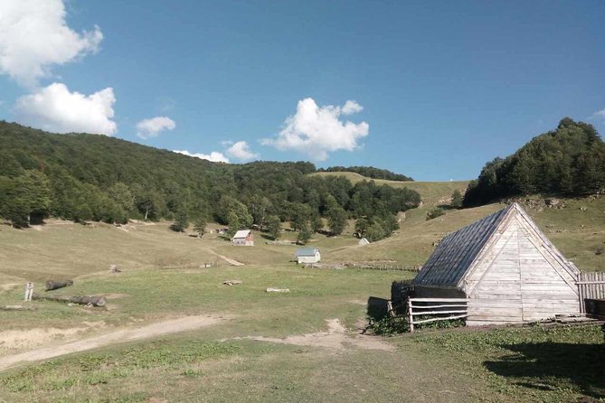 Cheese farm tour in the katun - Who will enjoy this outing most