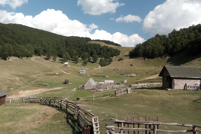 Cheese farm tour in the katun - Meeting the local cheese maker