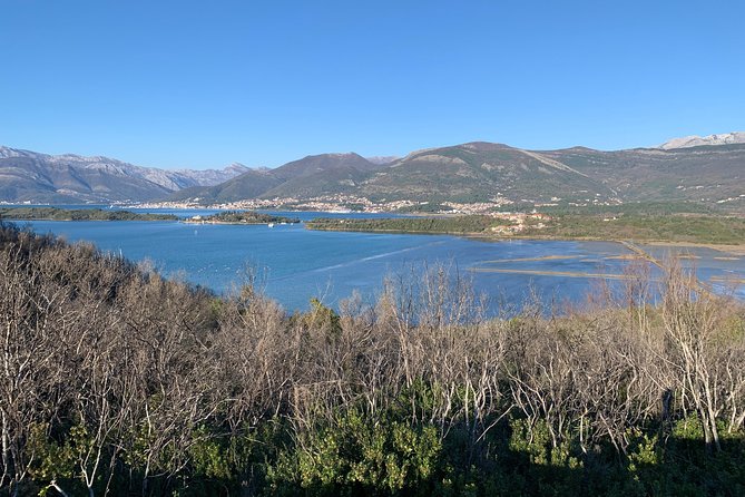 Cycle & SUP: A Complete Circumnavigation of Kotor Bay (new tour) - Cycling between Kotor, Tivat, and the harbors