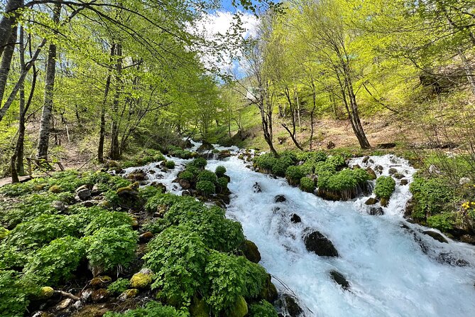 Durmitor - Black Lake & Tara River Canyon - North Montenegro tour - Why this private northern Montenegro trip works