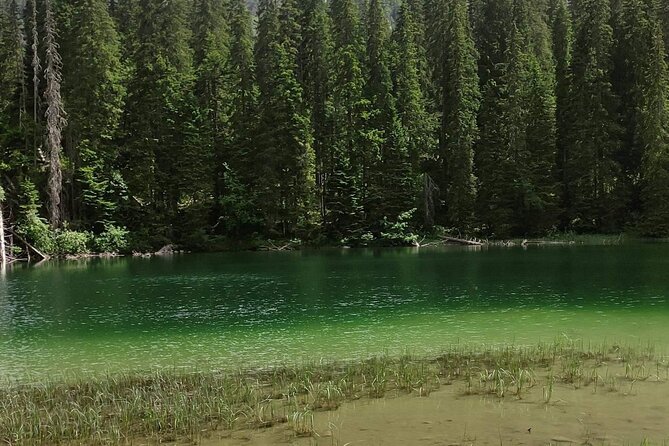 Durmitor National Park hiking tour - easy to moderate - What the $115.93 price buys you