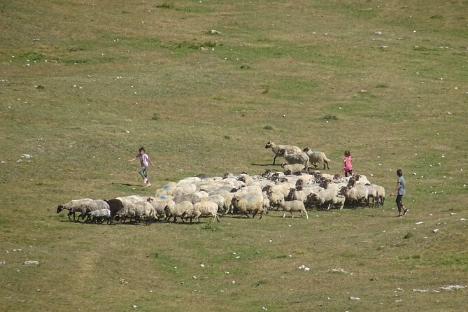 Durmitor NP private tour- Among Katuns, Shepherds and Geological Miracles - Guide Nino and the feel of the day