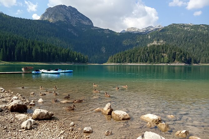 Durmitor NP private tour- Among Katuns, Shepherds and Geological Miracles - Durmitor’s geology and dramatic height