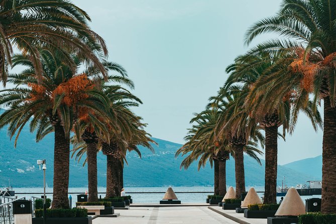 Explore Adriatic Coast of Montenegro - Private Budva & Tivat Tour - Practical details that affect your day