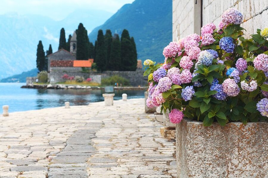 From Dubrovnik: Montenegro Highlights Day Tour - What to bring and how to prepare