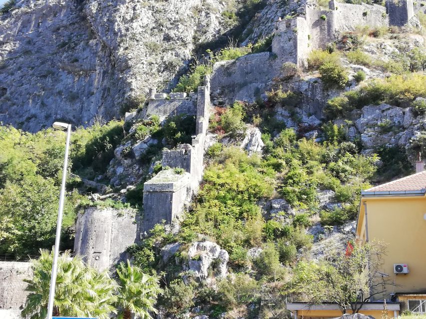 From Dubrovnik: Montenegro, Kotor City Tour - Is the tour a good buy?