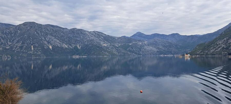 From Dubrovnik: Montenegro Private Tour - What the private vehicle and guide add