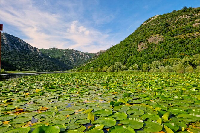 From Virpazar: Visit Karuč, the hidden pearl of Lake Skadar - Why this Lake Skadar route feels different