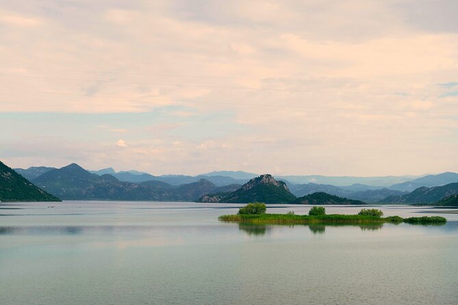 From Virpazar: Visit Karuč, the hidden pearl of Lake Skadar - Birds near the Moraca River