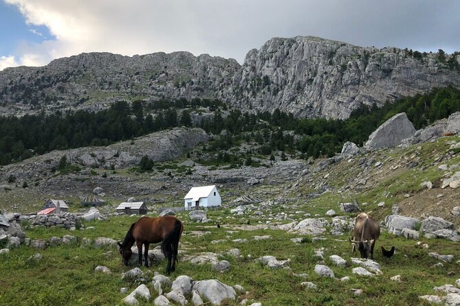 Full-Day Hiking Tour to Maganik Montenegro - The katun and Montenegro’s mountain tradition