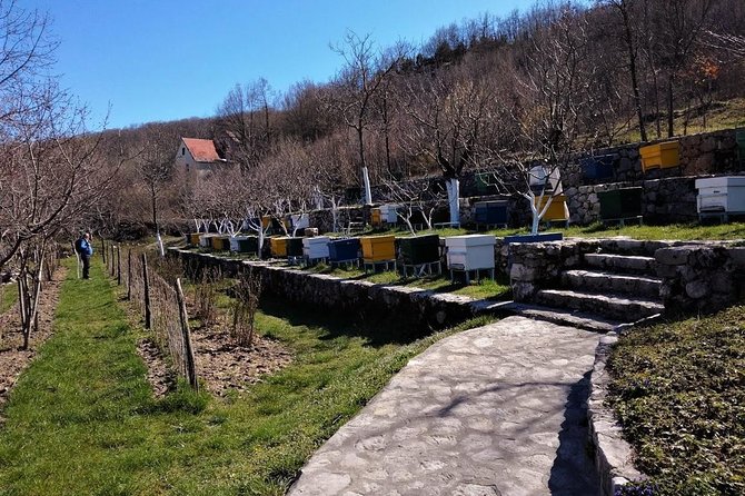 Gastronomy and Sightseeing in Montenegro - Lake Skadar & Cetinje Private Tour - Key points at a glance