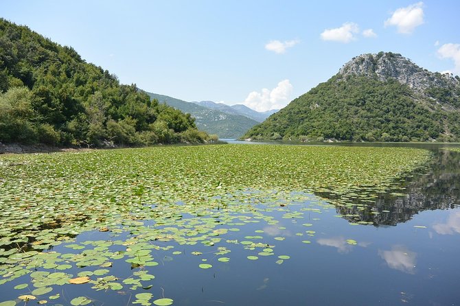 Gastronomy and Sightseeing in Montenegro - Lake Skadar & Cetinje Private Tour - What $324.06 per person really covers