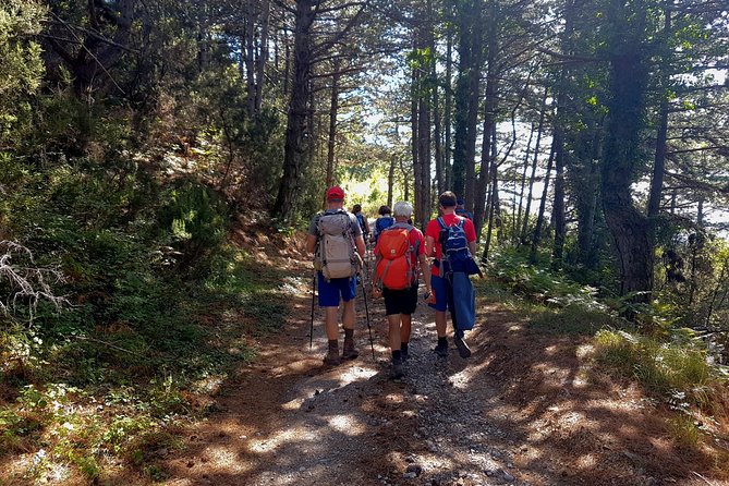 Hiking Vrmac peninsula with panoramic view on Kotor bay - What the private format adds at $114.48