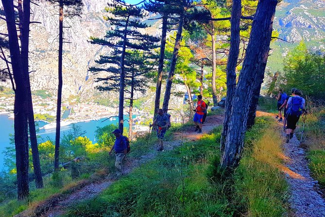 Hiking Vrmac peninsula with panoramic view on Kotor bay - Who will enjoy this hike most
