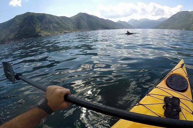 Kayak active tour - Reaching Prčanj and Our Lady’s temple