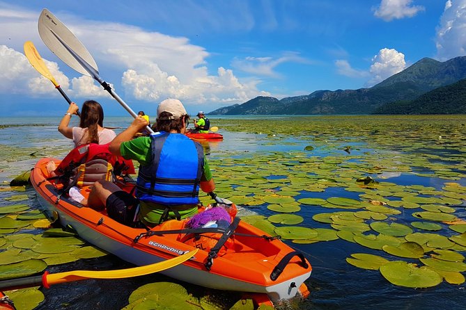 Kayak Guided Tour Skadar lake - Adventure in National park - Key points to know before booking