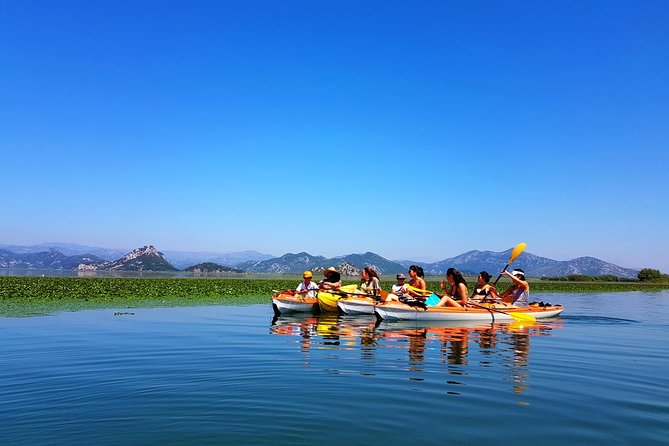 Kayak Guided Tour Skadar lake - Adventure in National park - Why Skadar Lake works so well by kayak