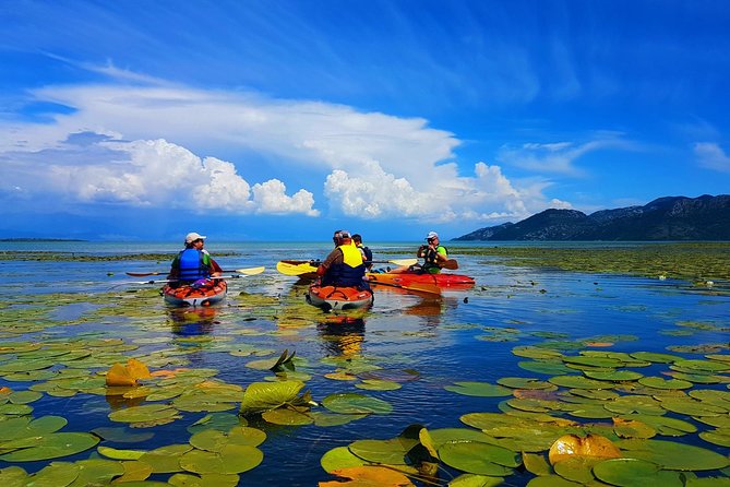 Kayak Guided Tour Skadar lake - Adventure in National park - How difficult is the kayaking?