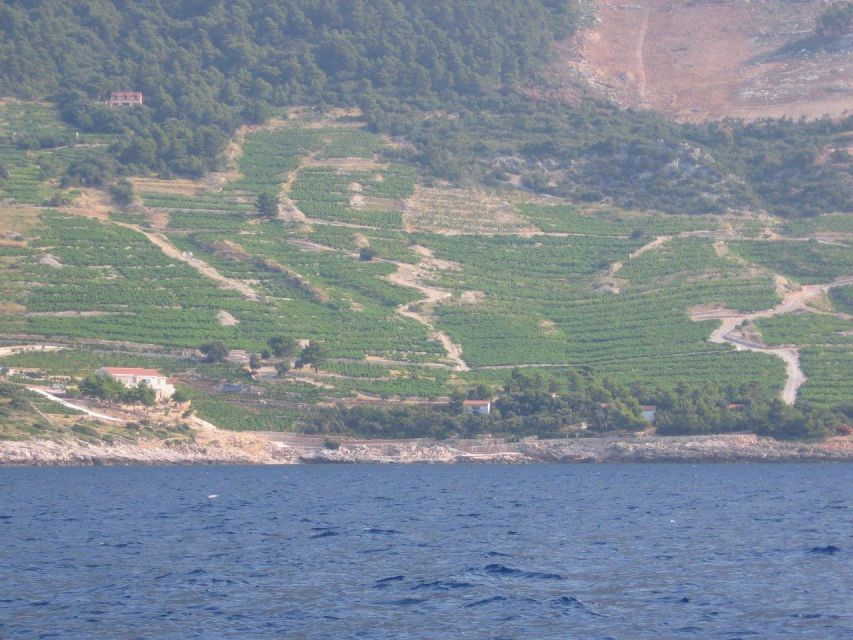 Korčula & Ston Full-Day Private Tour from Dubrovnik - Key points at a glance
