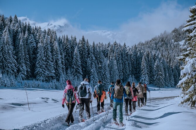 Montenegro Snowshoeing Durmitor - Key points to know before you book