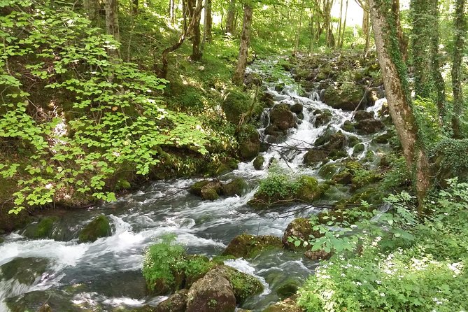 Moraca, Tara & Piva canyons with Durmitor national park - Tara Canyon brings the day’s biggest views