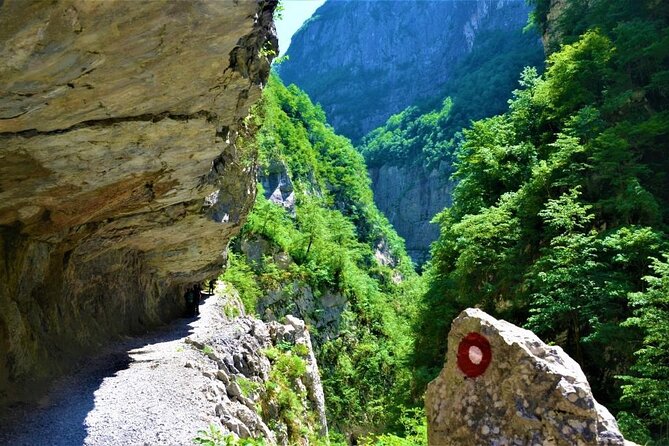 Mrtvica Canyon Hiking Tour - Transport and Timing From Podgorica