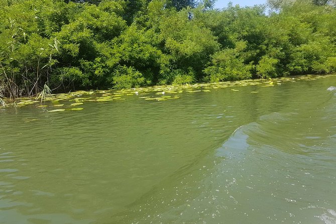 National park Skadar Lake (Private tour) - Seeing the lake by boat