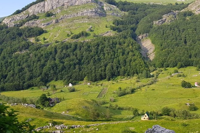 Njegusi Smokehouse, Farm to fork experience & Kotor walking tour - Inside the family smokehouse