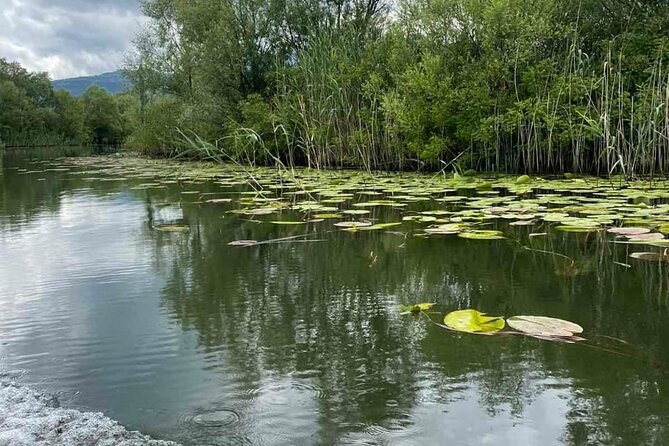 Noah's Ark Skadar Lake Journey - Why this short Lake Skadar trip is worth considering