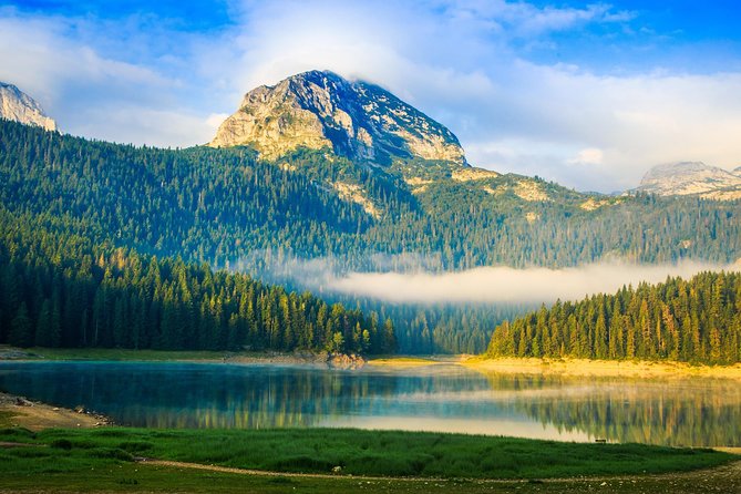 North of Montenegro Private Tour - Tara Canyon & National Parks - Why this private day trip works from Podgorica
