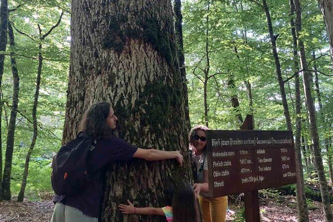 NORTH TOUR Np Biograd Gora-Lake-Moraca Canyon & Monastery-Kolasin - Lake Biograd: the quiet heart of the tour