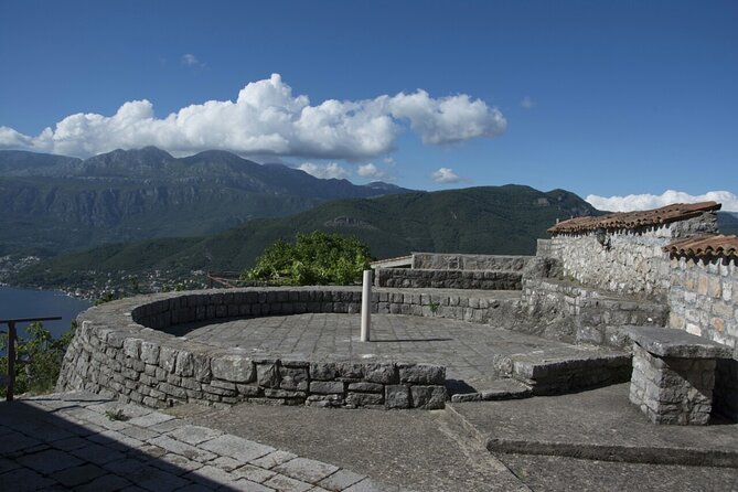 Olive oil farm to fork experience & short walking tour of Kotor - Driving Toward Lustica’s Olive Country