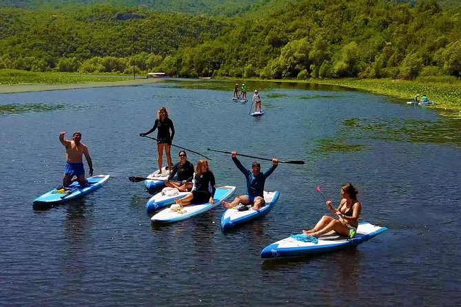 Paddleboard (SUP) Tour on Crnojevic River to Skadar Lake - Key points to know before you book
